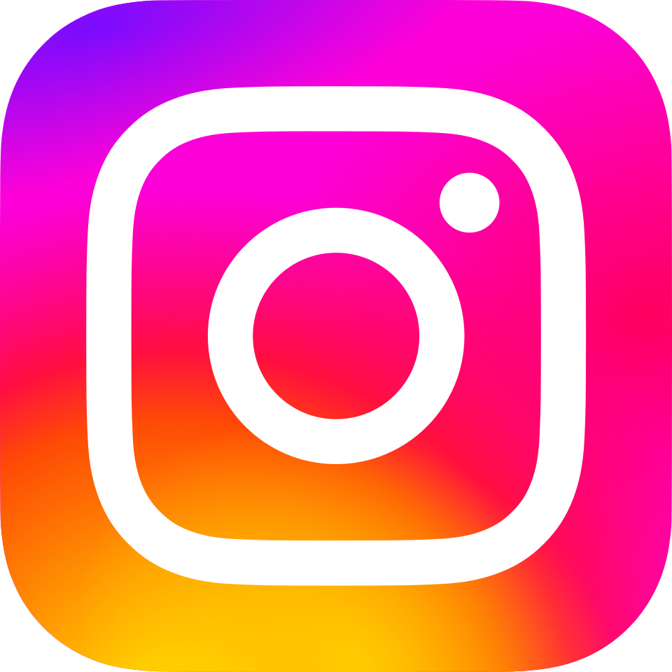 Instagram Story Downloader