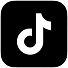 TikTok Video Downloader